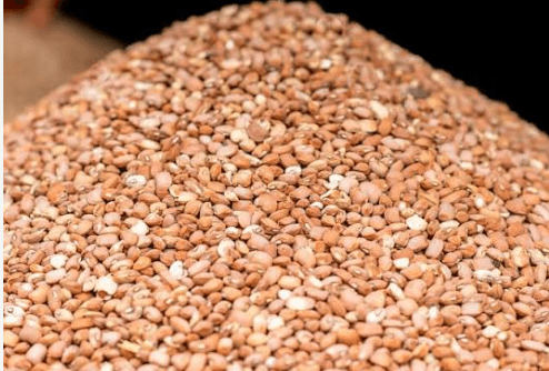 Beans