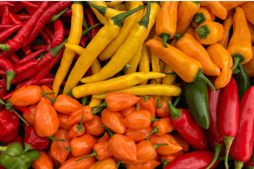Chilli