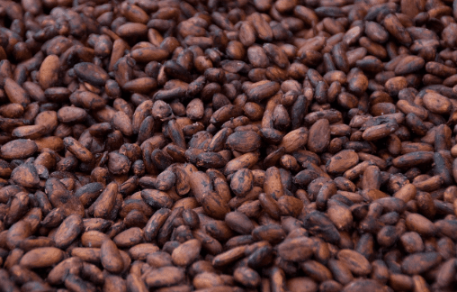 Cocoa beans