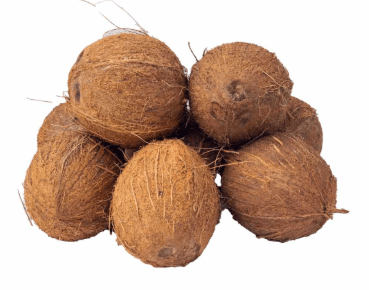 Coconut
