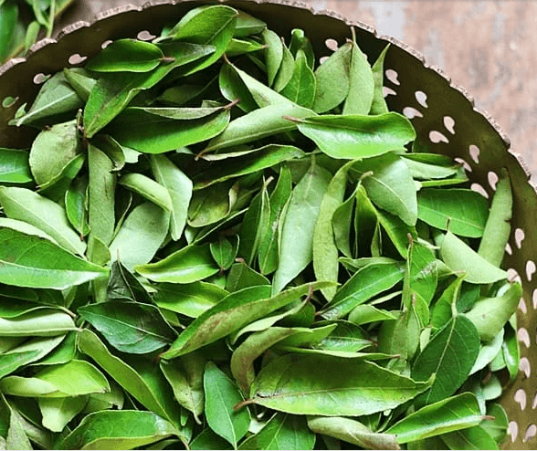 Curry leaf