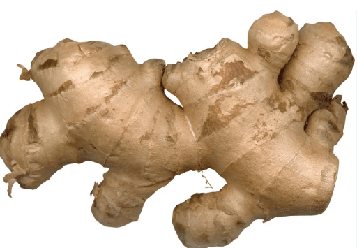 Ginger