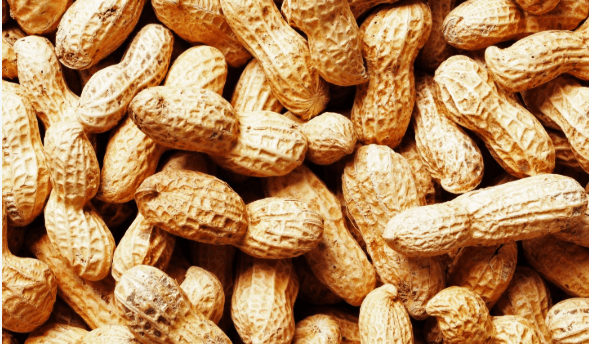 Groundnuts