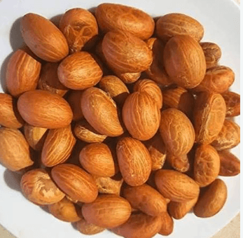 Kola nut and bitter kola