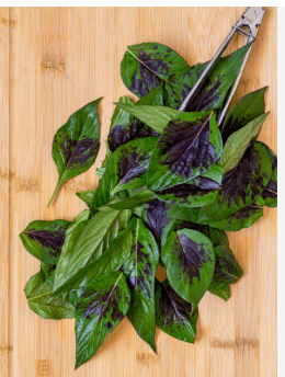 Lagos spinach