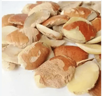 Ogbono