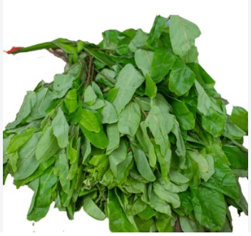 Oha leaf