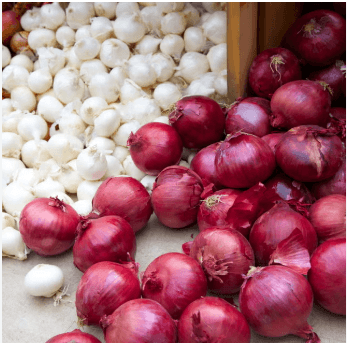Onions