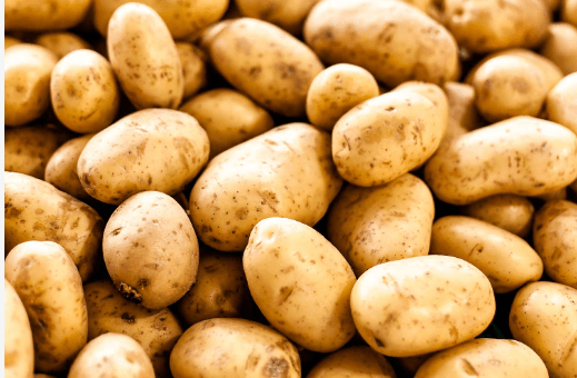 Potato