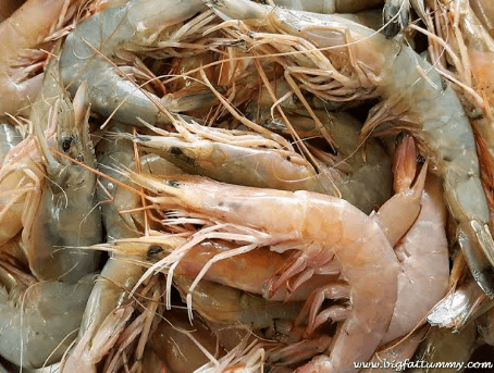 Prawns