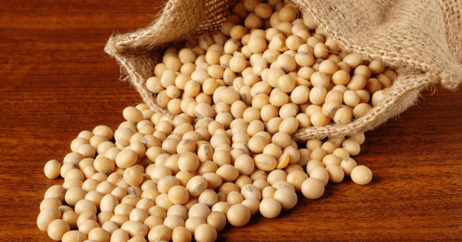 Soybeans