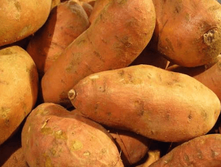 Sweet potato