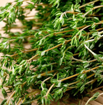Thyme