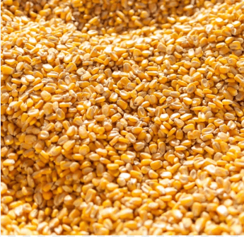 Yellow maize